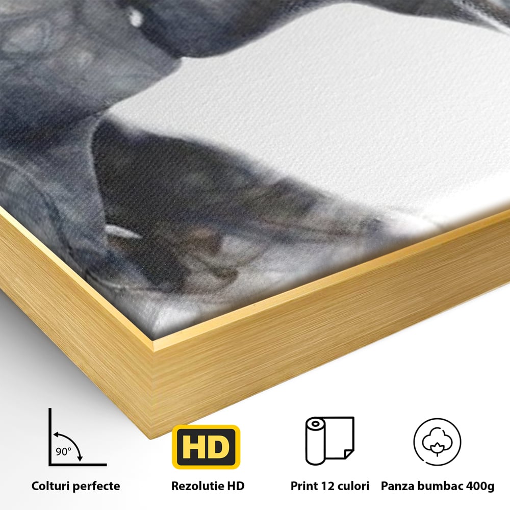 Detaliu al suprafetei: tablou canvas cu siluete in fum, in rama de aluminiu auriu